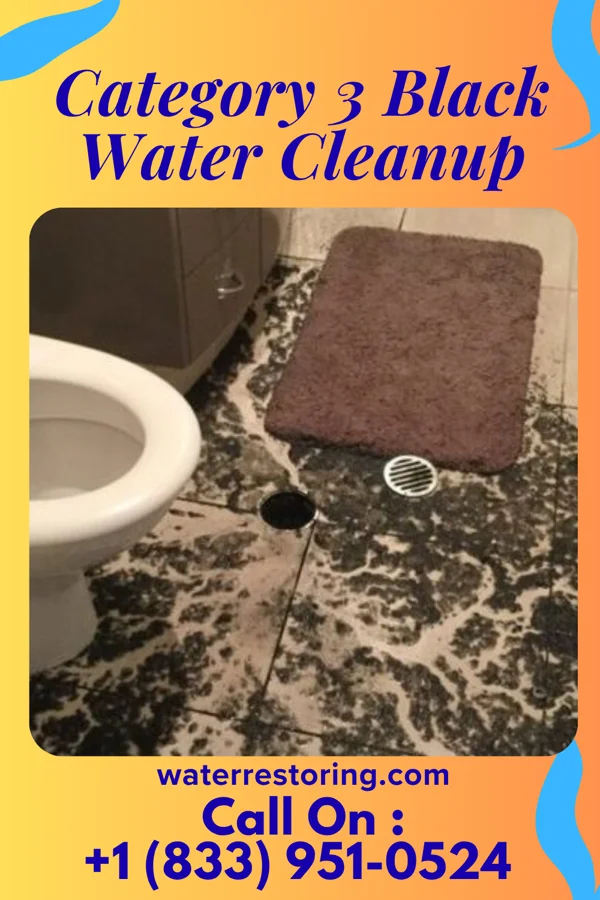 Category 3 Black Water Cleanup in Whitehall, OH
