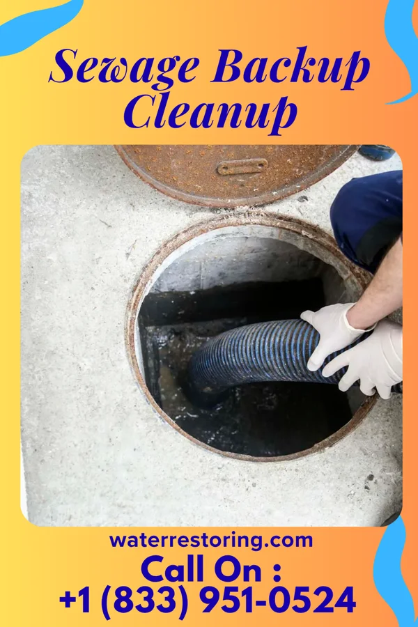 Sewage Backup Cleanup in Whitehall, OH