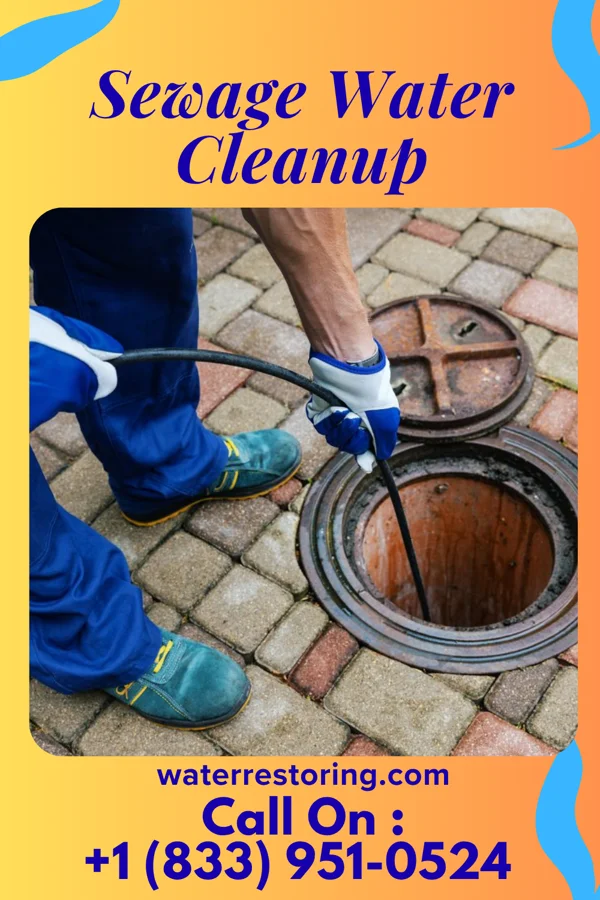 Sewage Water Cleanup in Whitehall, OH